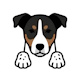 Cukrárna U Žofinky Logo
